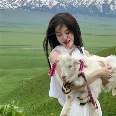 顾问
